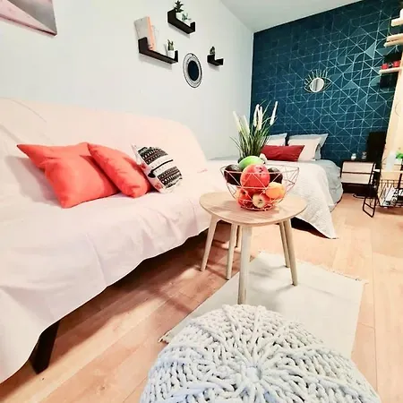 Cosy -paris 아파트 *